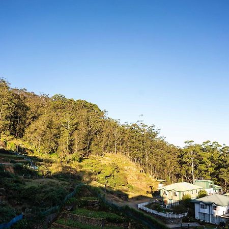 Forest View Lodge Nuwara Eliya Exteriér fotografie