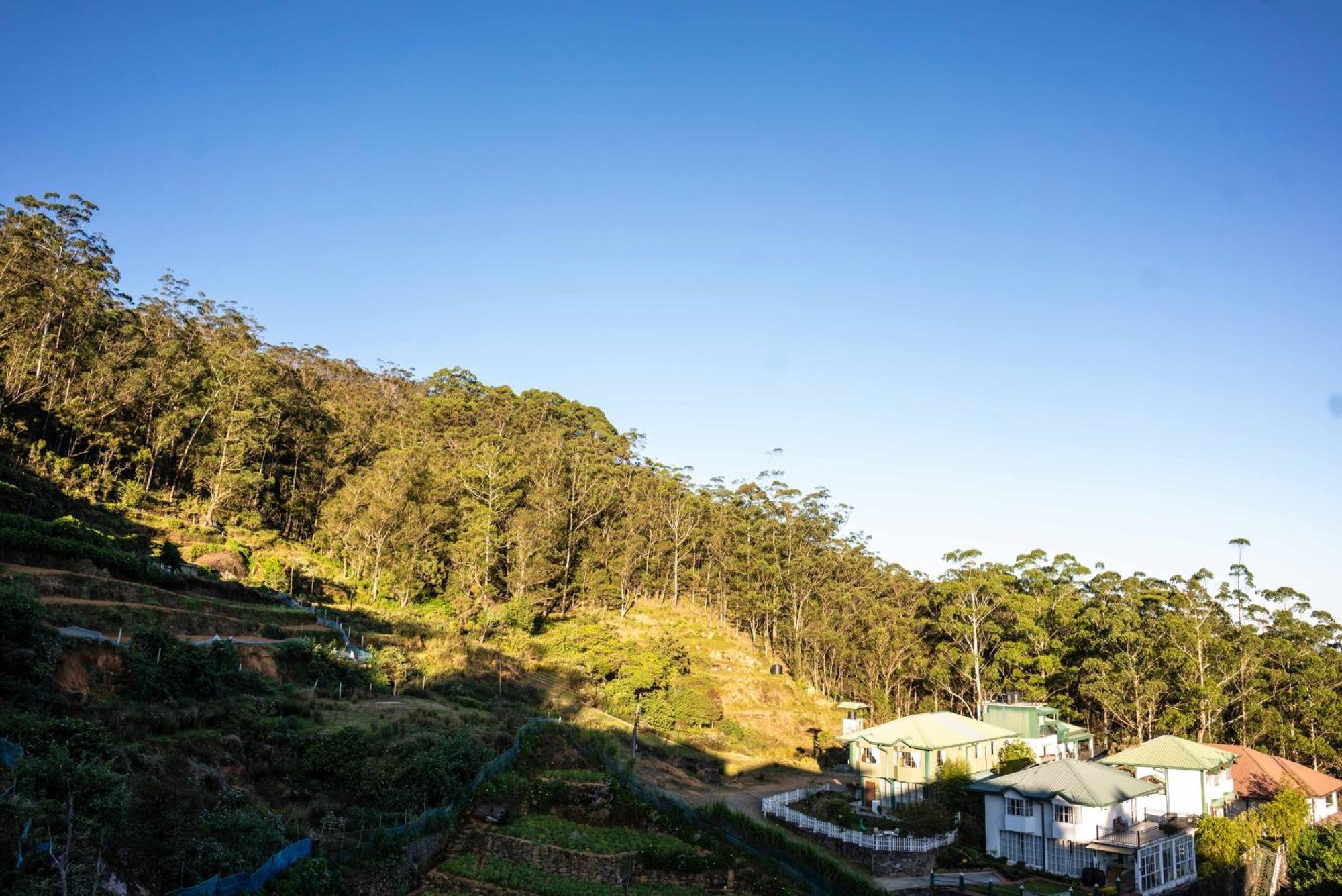 Forest View Lodge Nuwara Eliya Exteriér fotografie